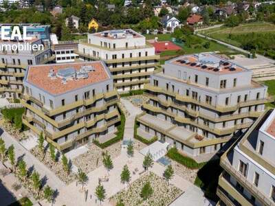 Terrassenwohnung kaufen in 1210 Wien (Bild 1)
