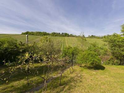 Grundstück kaufen in 1190 Wien