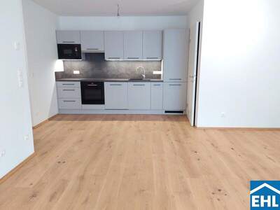 Terrassenwohnung kaufen in 1220 Wien (Bild 3)