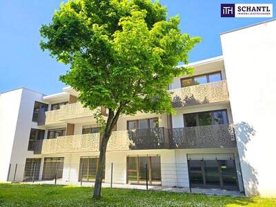Terrassenwohnung kaufen in 1230 Wien (Bild 5)