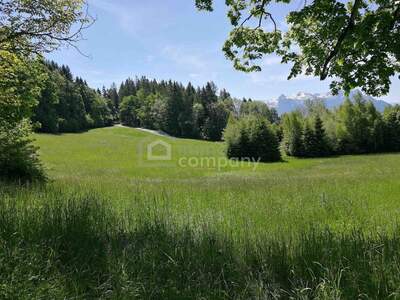 Gewerbeobjekt kaufen in 5020 Salzburg (Bild 3)