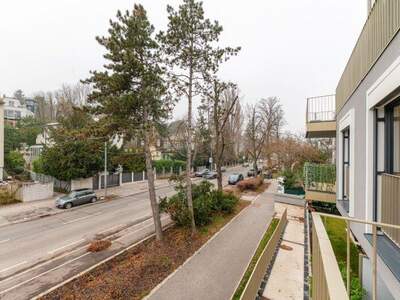 Terrassenwohnung mieten in 1190 Wien (Bild 4)