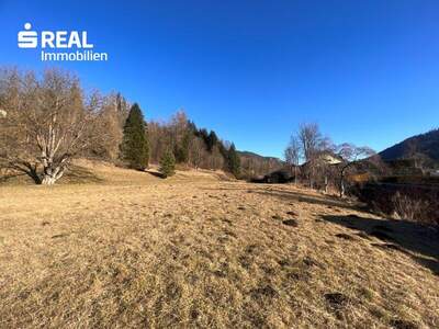 Grundstück kaufen in 8793 Trofaiach (Bild 5)