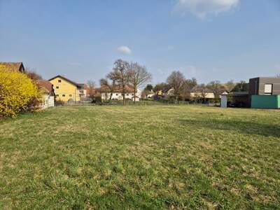 Grundstück kaufen in 3062 Kirchstetten (Bild 2)