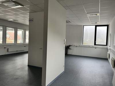 Gewerbeobjekt mieten in 8301 Laßnitzhöhe (Bild 5)