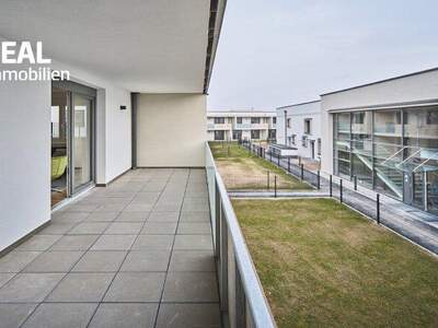 Terrassenwohnung mieten in 2700 Wr. Neustadt (Bild 1)