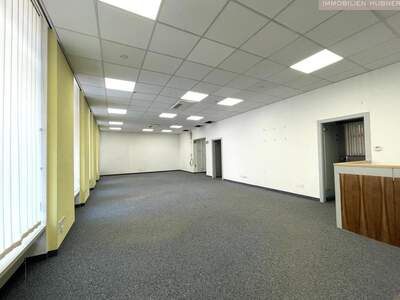 Gewerbeobjekt mieten in 1030 Wien (Bild 4)