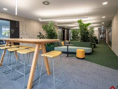 Gewerbeobjekt mieten in 4040 Linz (Bild 2)