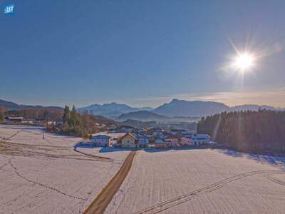 Grundstück kaufen in 5300 Hallwang