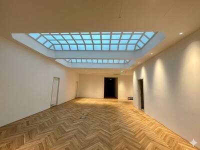 Gewerbeobjekt mieten in 1010 Wien (Bild 5)