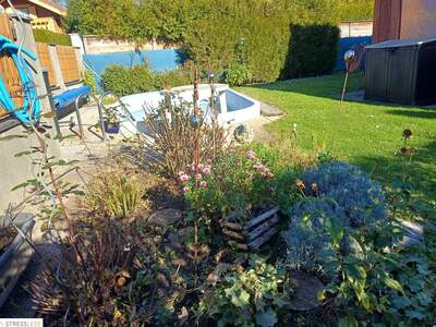 Haus kaufen in 2011 Sierndorf (Bild 5)