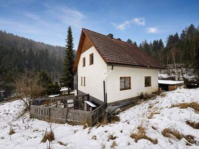 Haus kaufen in 8750 Auerling