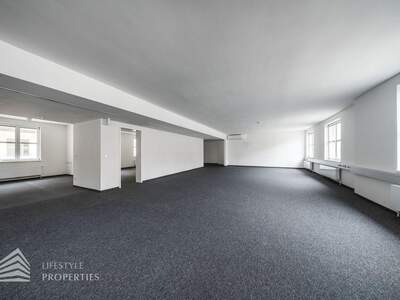 Gewerbeobjekt mieten in 1010 Wien (Bild 3)