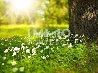 Grundstück kaufen in 7464 Markt Neuhodis