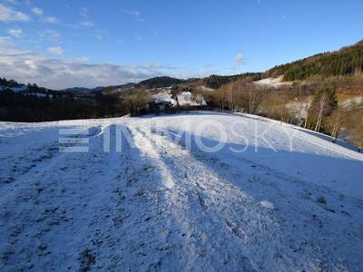 Bauernhaus kaufen in 4391 Waldhausen (Bild 3)