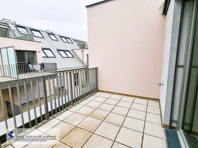 Terrassenwohnung kaufen in 1220 Wien (Bild 2)