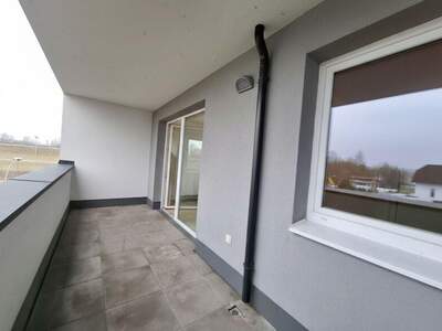 Terrassenwohnung mieten in 3321 Ardagger (Bild 5)