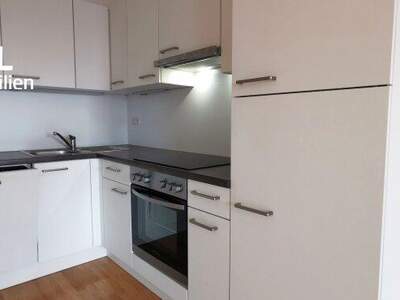 Terrassenwohnung mieten in 1090 Wien (Bild 5)