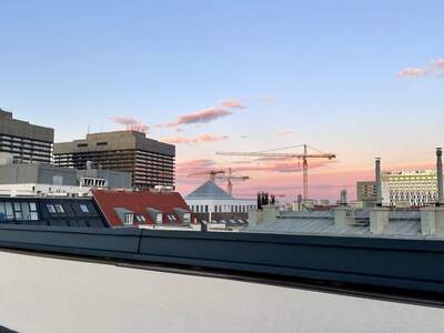 Altbauwohnung mit Balkon kaufen in 1090 Wien (Bild 2)