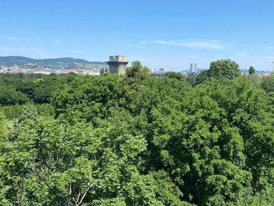 Terrassenwohnung mieten in 1020 Wien (Bild 4)