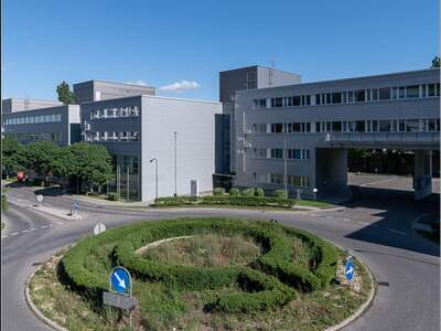 Gewerbeobjekt mieten in 2345 Brunn (Bild 2)