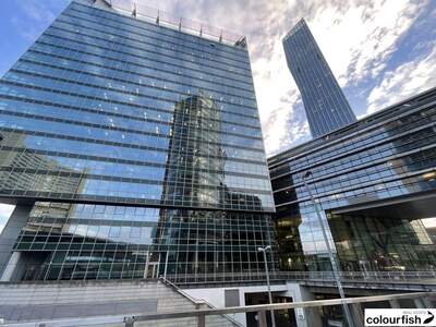 Gewerbeobjekt mieten in 1220 Wien (Bild 2)