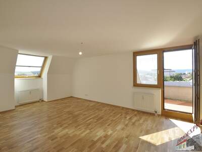 Terrassenwohnung kaufen in 3500 Krems (Bild 3)