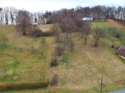 Grundstück kaufen in 8380 Grieselstein (Bild 4)