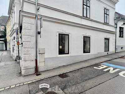 Gewerbeobjekt mieten in 2380 Perchtoldsdorf (Bild 4)