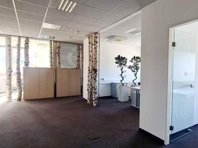 Gewerbeobjekt mieten in 5020 Salzburg (Bild 5)