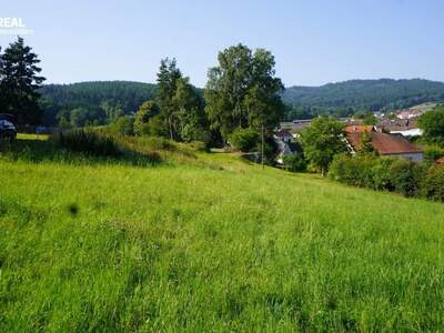 Grundstück kaufen in 3950 Gmünd