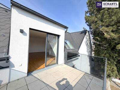 Terrassenwohnung kaufen in 1220 Wien (Bild 1)