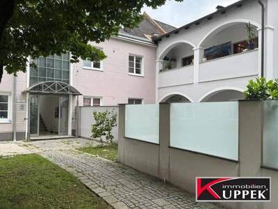 Wohnung kaufen in 4470 Enns