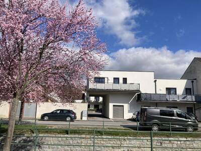 Wohnung provisionsfrei kaufen in 2170 Poysdorf