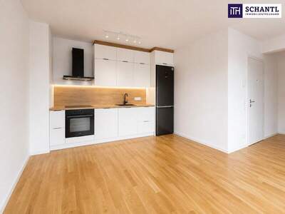 Terrassenwohnung mieten in 1230 Wien (Bild 4)