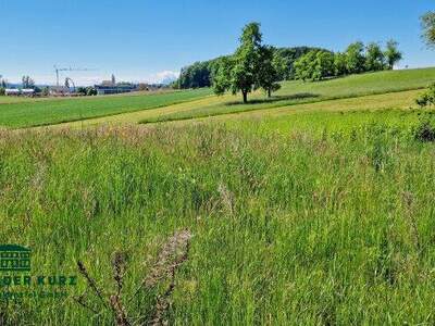 Grundstück kaufen in 5141 Moosdorf