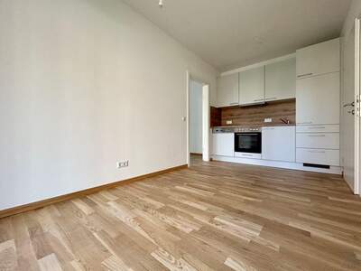 Anlageobjekt kaufen in 8054 Graz (Bild 5)