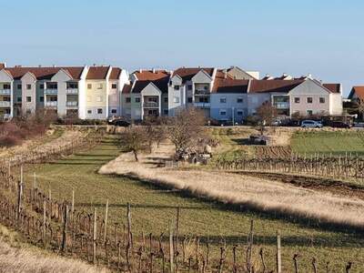 Wohnung kaufen in 7071 Rust