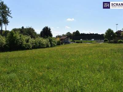 Grundstück kaufen in 8301 Laßnitzhöhe (Bild 1)