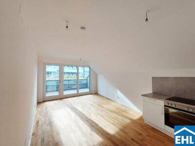 Terrassenwohnung mieten in 1110 Wien (Bild 1)