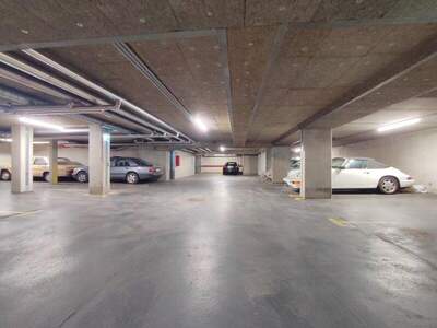 Halle / Lager / Produktion mieten in 1230 Wien (Bild 3)