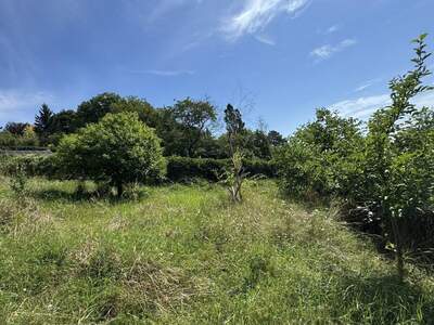 Grundstück kaufen in 3400 Klosterneuburg (Bild 2)