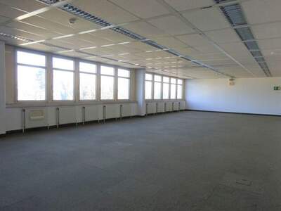 Gewerbeobjekt mieten in 8055 Graz (Bild 1)
