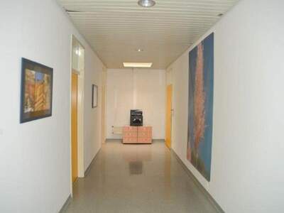 Gewerbeobjekt mieten in 8055 Graz (Bild 3)