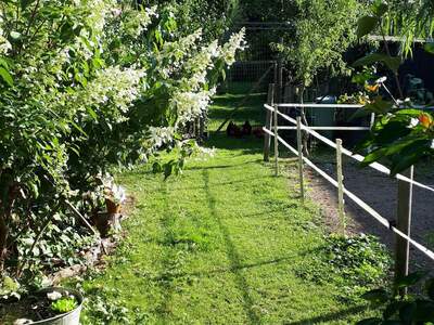 Haus kaufen in 2620 Oberdanegg (Bild 5)