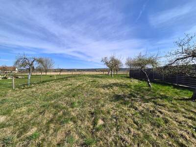 Grundstück kaufen in 8280 Altenmarkt (Bild 5)