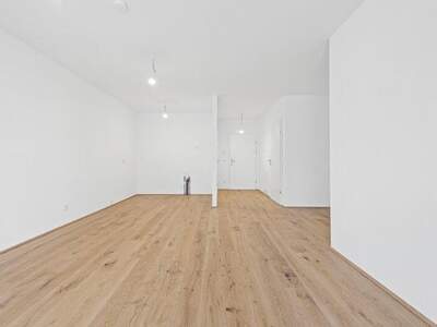 Terrassenwohnung kaufen in 2540 Bad Vöslau (Bild 4)