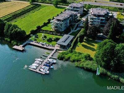 Gewerbeobjekt kaufen in 9552 Steindorf (Bild 2)