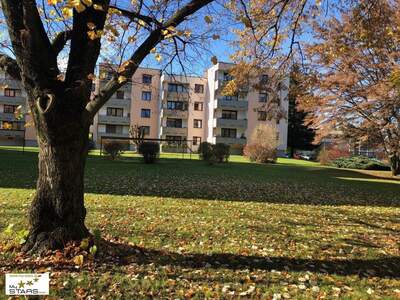 Wohnung mieten in 4910 Ried