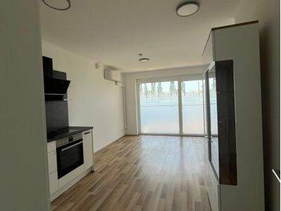 Terrassenwohnung mieten in 2544 Leobersdorf (Bild 4)